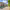 https://res.cloudinary.com/billionhands/image/upload/v1775576066/items/nutvpetr9lsujnocp4qd.webp-1cover