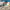 https://res.cloudinary.com/billionhands/image/upload/v1775576071/items/fzabf3f6dsjzjgog1ysb.jpg-3cover