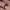 https://res.cloudinary.com/billionhands/image/upload/v1775576110/items/w0mx4sfw9wtdj0jsdide.avif-1cover