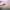 https://res.cloudinary.com/billionhands/image/upload/v1775576204/items/smawqdv2x0msvnjtog6k.jpg-3cover