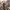 https://res.cloudinary.com/billionhands/image/upload/v1775576207/items/u3ijcshjjkeewvqb1ee6.jpg-1cover