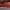 https://res.cloudinary.com/billionhands/image/upload/v1775576398/items/sbzlf1eyfw7jhdtio6j1.jpg-1cover