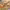 https://res.cloudinary.com/billionhands/image/upload/v1775576597/items/njr0hjsespnwpxl5jxra.jpg-3cover