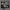 https://res.cloudinary.com/billionhands/image/upload/v1775576659/items/chgdlvwmeaw4c4ml4hii.jpg-3cover