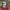 https://res.cloudinary.com/billionhands/image/upload/v1775576719/items/paud4m0jyyazsnkknw3z.jpg-1cover