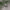 https://res.cloudinary.com/billionhands/image/upload/v1775576719/items/puowr91poqgtyafpmgpp.jpg-2cover