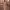 https://res.cloudinary.com/billionhands/image/upload/v1775576908/items/eoh18ucpwadtgbi4gt1l.webp-2cover