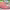 https://res.cloudinary.com/billionhands/image/upload/v1775576917/items/fqkrxirivotl3n9c3sd1.webp-1cover