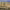 https://res.cloudinary.com/billionhands/image/upload/v1775577036/items/ecjyjutghwubp5czowz9.jpg-1cover