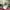 https://res.cloudinary.com/billionhands/image/upload/v1775577056/items/j4osyfyzopntpwk60sqe.jpg-0cover