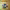 https://res.cloudinary.com/billionhands/image/upload/v1775577488/items/fdhv7osnhdgxugq7fbfo.jpg-1cover