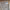 https://res.cloudinary.com/billionhands/image/upload/v1775577796/items/eve7z3zb2ejny8uomvlm.webp-3cover
