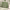 https://res.cloudinary.com/billionhands/image/upload/v1775586858/items/ufaiktts1hpthxvnzvoz.jpg-2cover