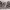 https://res.cloudinary.com/billionhands/image/upload/v1775636547/items/cemnbkcyevrwyspecg1g.jpg-2cover
