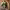 https://res.cloudinary.com/billionhands/image/upload/v1775642904/items/zckxbjtskibq1jme24wk.webp-0cover