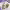 https://res.cloudinary.com/billionhands/image/upload/v1775646275/items/hfchlauxyr0omfkqxrtf.jpg-2cover