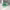 https://res.cloudinary.com/billionhands/image/upload/v1775652401/items/zmg0srl8e3nuqch3kl5r.jpg-1cover