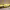 https://res.cloudinary.com/billionhands/image/upload/v1775666765/items/czdbfvnsn3up3jxcwnl6.jpg-0cover