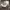https://res.cloudinary.com/billionhands/image/upload/v1775666787/items/mzfcsl2nqi47em7hl9oz.webp-3cover