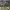 https://res.cloudinary.com/billionhands/image/upload/v1775735428/items/zqd7ty6snhgrd6usus4g.jpg-1cover