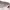 https://res.cloudinary.com/billionhands/image/upload/v1775739331/items/kia4nxkiboygh6muvr93.jpg-1cover