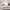 https://res.cloudinary.com/billionhands/image/upload/v1775752770/items/bitqr33xxxntjavb6mok.jpg-2cover