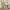 https://res.cloudinary.com/billionhands/image/upload/v1775763010/items/ttgnmk9xgzttzxoasofq.webp-2cover