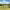 https://res.cloudinary.com/billionhands/image/upload/v1775763015/items/fhxni7krzisqbsqgxayg.jpg-3cover