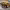 https://res.cloudinary.com/billionhands/image/upload/v1775766671/items/slfo4cwhbjingywrpjf7.jpg-0cover