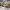 https://res.cloudinary.com/billionhands/image/upload/v1775772176/items/p48jelxc0ehufor0egc8.webp-3cover