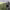https://res.cloudinary.com/billionhands/image/upload/v1775772178/items/uiyhqgnmhxx79contnwo.png-1cover