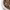 https://res.cloudinary.com/billionhands/image/upload/v1775772179/items/b1ggblo8osynfcngorat.png-0cover