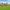 https://res.cloudinary.com/billionhands/image/upload/v1775772904/items/r1qtbulz2mzanbufk5qs.jpg-1cover