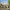https://res.cloudinary.com/billionhands/image/upload/v1775772907/items/bs7uuh3fkfeiyd5bfcwi.jpg-0cover