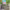 https://res.cloudinary.com/billionhands/image/upload/v1775772908/items/ykbob4hz2popdni6zzv8.jpg-1cover