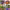 https://res.cloudinary.com/billionhands/image/upload/v1775810011/items/vzmst6vqnxwdayihns5w.jpg-0cover