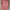 https://res.cloudinary.com/billionhands/image/upload/v1775810877/items/ctxenvwxpozkauqfucot.jpg-1cover