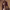 https://res.cloudinary.com/billionhands/image/upload/v1775819782/items/gx9enc21srkxjfamg6dw.webp-1cover