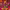 https://res.cloudinary.com/billionhands/image/upload/v1775821463/items/kntcscxurshsulg1no43.jpg-3cover
