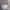 https://res.cloudinary.com/billionhands/image/upload/v1775823083/items/fsxv7as5wjirvbnxhvwo.jpg-2cover