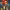 https://res.cloudinary.com/billionhands/image/upload/v1775826448/items/czp2ffsxnbazfynlwiln.jpg-0cover