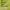 https://res.cloudinary.com/billionhands/image/upload/v1775826449/items/ut2hjvwdnetpdgmzuezl.jpg-1cover