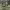 https://res.cloudinary.com/billionhands/image/upload/v1775826450/items/miydnk6iuclwkand1rrw.jpg-2cover