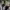 https://res.cloudinary.com/billionhands/image/upload/v1775829133/items/jvykkeypag9ayfnf5p00.webp-3cover