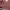 https://res.cloudinary.com/billionhands/image/upload/v1775843808/items/sec6coka7ubjdghg2tlt.jpg-1cover