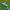 https://res.cloudinary.com/billionhands/image/upload/v1775849771/items/fumewkxdwow6pcsaeb0v.webp-3cover