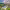 JW Marriott Khao Lak Resort & Spa (Khao Lak, Thailand) cover