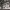 https://res.cloudinary.com/billionhands/image/upload/v1775861744/items/idnjvuuejevxjl1lqbzn.jpg-0cover