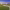 https://res.cloudinary.com/billionhands/image/upload/v1775870262/items/gigajdyddk1teyekmo16.webp-1cover