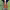 https://res.cloudinary.com/billionhands/image/upload/v1775872383/items/cglqxra4mgbuqiqfv1md.jpg-2cover